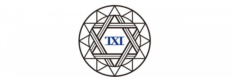 TXI Partners 台以智匯